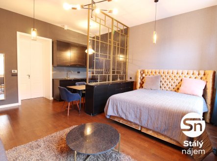 Pronájem bytu, 1+kk, 41 m²