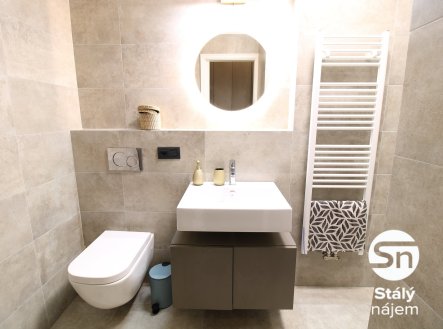 Pronájem bytu, 1+kk, 41 m²
