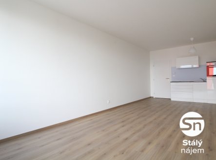 Pronájem bytu, 1+kk, 43 m²