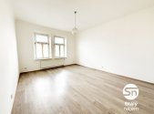 Pronájem bytu, 1+1, 55 m²