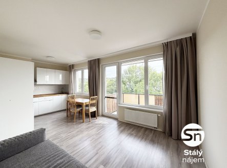 Pronájem bytu, 1+kk, 33 m²