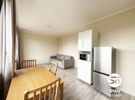 Pronájem bytu, 1+kk, 33 m²