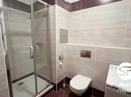 Pronájem bytu, 1+kk, 31 m²