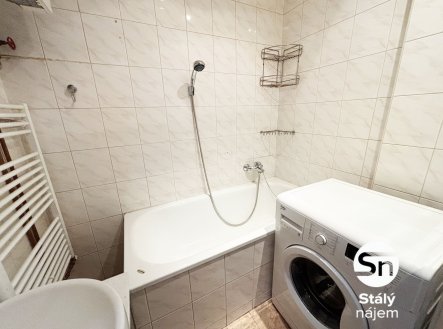 Pronájem bytu, 1+1, 48 m² obrázek