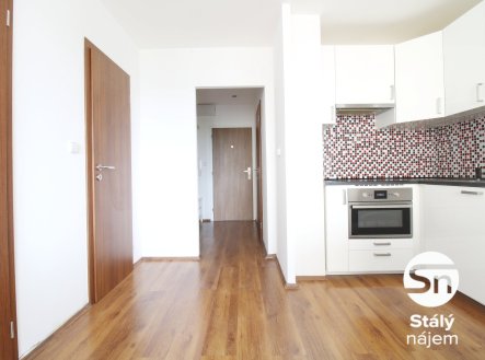 IMG_1307 | Pronájem bytu, 2+kk, 41 m²