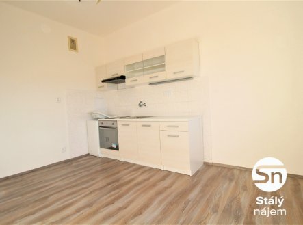 IMG_5117_ | Pronájem bytu, 1+1, 43 m²