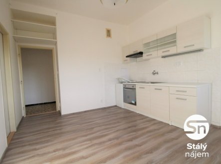IMG_5118_ | Pronájem bytu, 1+1, 43 m²