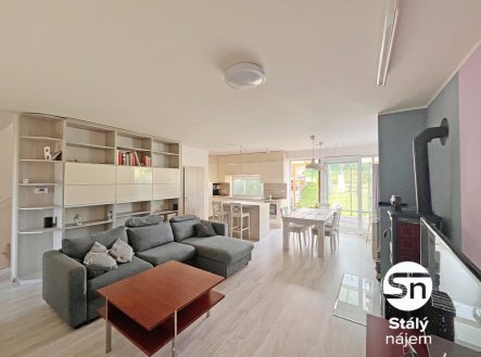 Pronájem bytu, 4+kk, 560 m²