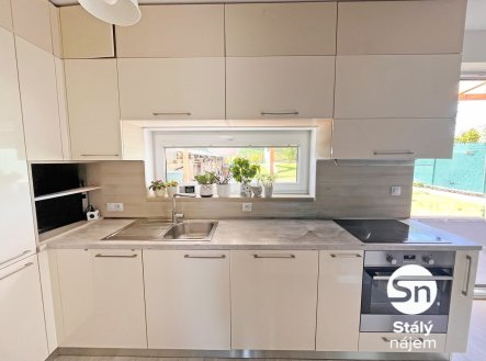 Pronájem bytu, 4+kk, 560 m²