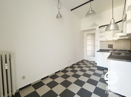 Pronájem bytu, 1+1, 43 m²