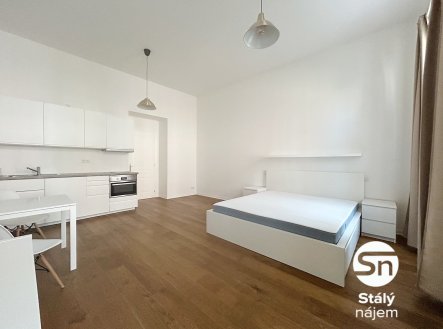 Pronájem bytu, 1+kk, 42 m²