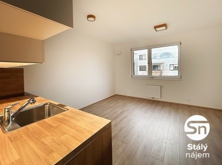 Pronájem bytu, 1+kk, 29 m²