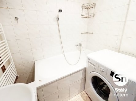 Pronájem bytu, 1+1, 48 m²