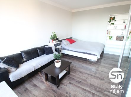 Pronájem bytu, 1+1, 29 m²