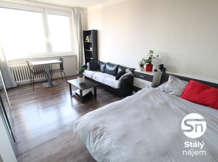 Pronájem bytu, 1+1, 29 m²