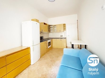 Pronájem bytu, 1+1, 48 m²
