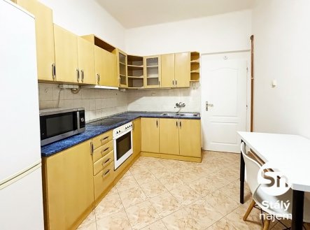 Pronájem bytu, 1+1, 48 m²