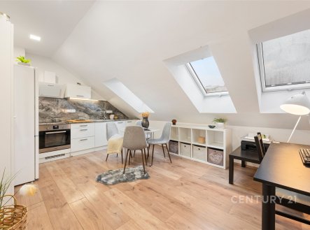 Prodej bytu, 3+kk, 45 m²