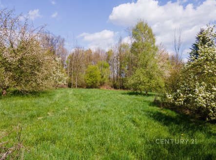 Prodej pozemku pro bydlení, 2 673 m²