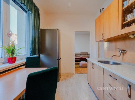 Světlá kuchyň s dřevěnými skříňkami, moderní lednicí a parketovou podlahou, přilehlý obývací pokoj s velkými okny. | Prodej bytu, 2+1, 59 m²