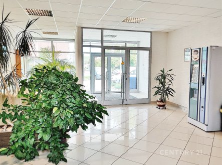 Pronájem kanceláře, 18 m²
