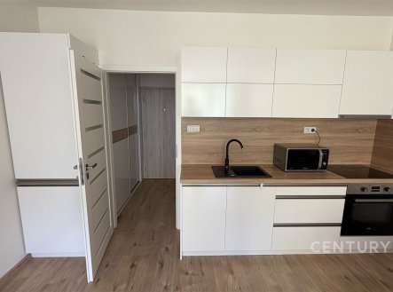 Pronájem bytu, 1+kk, 33 m²