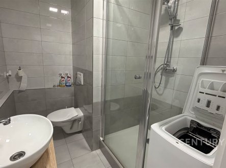 Pronájem bytu, 1+kk, 33 m²