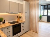 Pronájem bytu, 1+kk, 38 m²