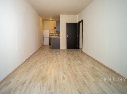 Prodej bytu, 2+kk, 46 m²