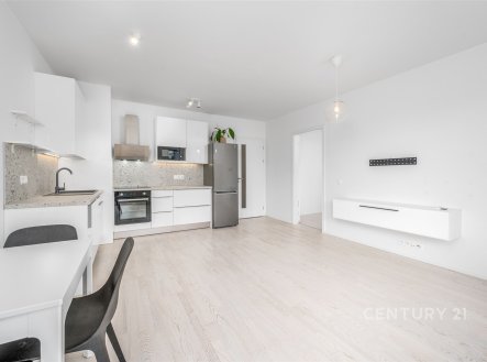 Pronájem bytu, 2+kk, 66 m²