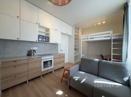 Prodej bytu, 1+kk, 29 m²