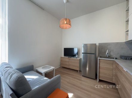 Prodej bytu, 1+kk, 29 m²