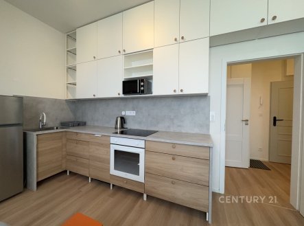 Prodej bytu, 1+kk, 29 m²