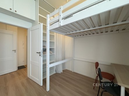 Prodej bytu, 1+kk, 29 m²