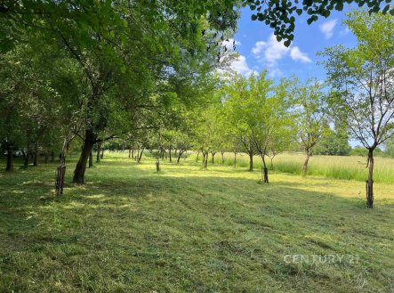 Prodej pozemku, trvalý travní porost, 2 666 m²