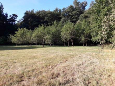 Prodej pozemku, trvalý travní porost, 2 666 m²