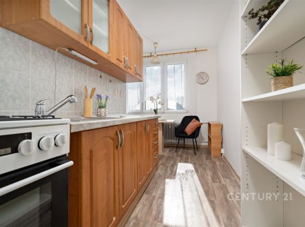 Prodej bytu, 2+1, 59 m²