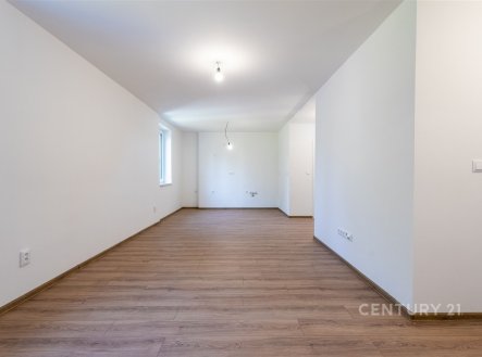 Prodej bytu, 2+kk, 55 m²