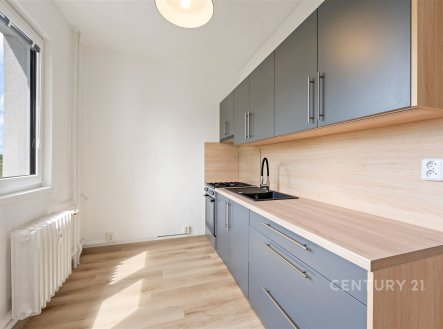 Prodej bytu, 1+1, 36 m²