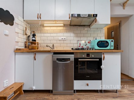 Prodej bytu, 1+kk, 73 m²