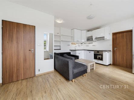 Pronájem bytu, 1+1, 34 m²