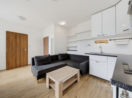 Pronájem bytu, 1+1, 34 m²