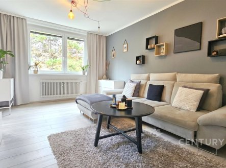 Pronájem bytu, 2+1, 56 m²