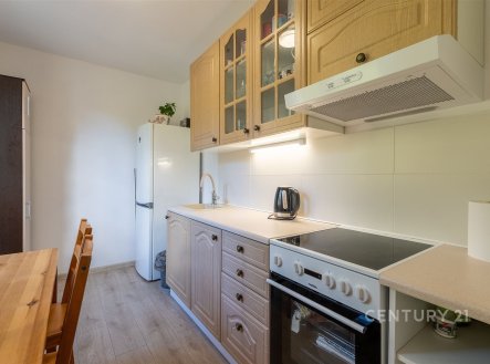 Pronájem bytu, 1+1, 38 m²
