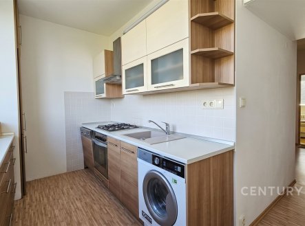 Pronájem bytu, 4+1, 90 m²