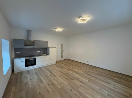 Pronájem bytu, 1+kk, 46 m² obrázek