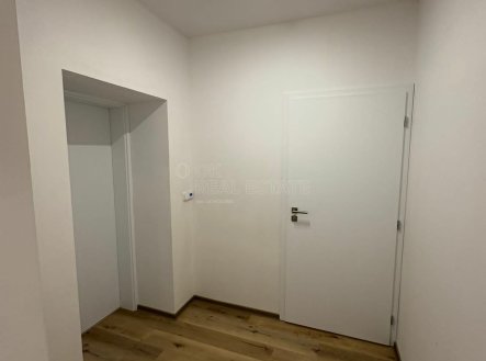 Pronájem bytu, 1+kk, 46 m²