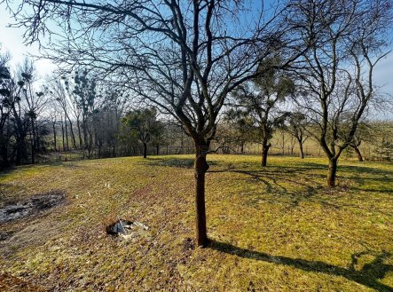 Prodej pozemku pro bydlení, 3 362 m²