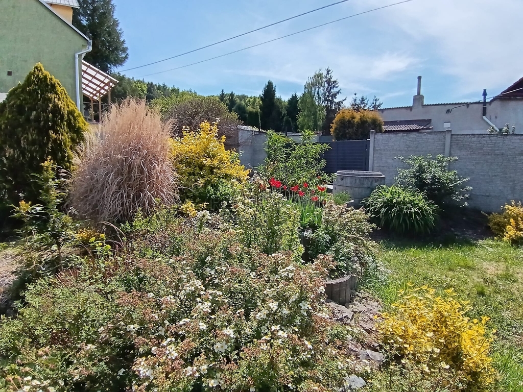 70fe52e8-a61d-431e-ae42-69062c217af5.jpg