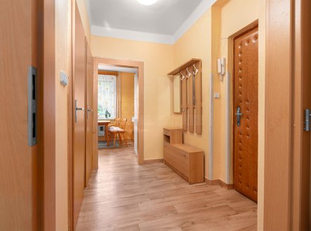 Prodej bytu, 1+1, 45 m²